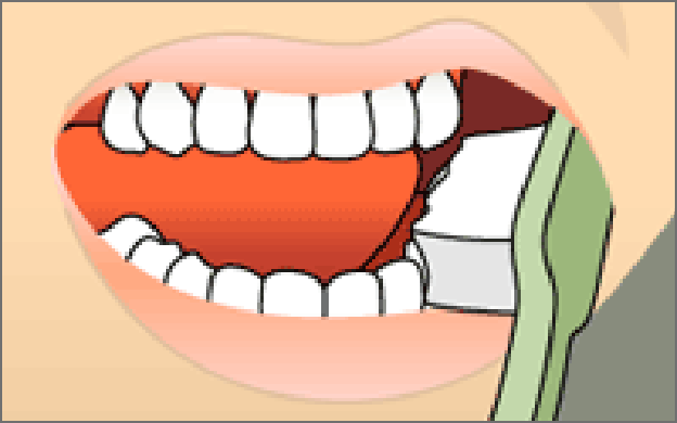brushing-step-1