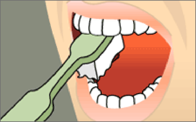 brushing-step-3